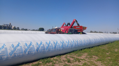 Las lluvias en el oeste bonaerense refuerzan la disponibilidad hídrica