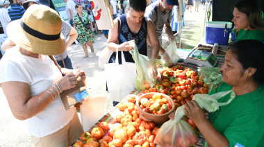 Se viene en La Plata una nueva Fiesta del Tomate Platense