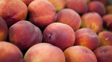 El INTA San Pedro presentó nuevas variedades de durazno