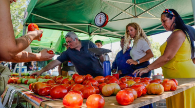 Javier Rodríguez a los tomatazos contra Milei: “tuvimos récord de importaciones de tomate, es absurdo”