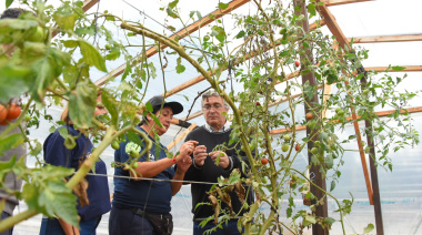 Javier Rodríguez lanzó en Berazategui una nueva edición de Huertas Urbanas Bonaerenses