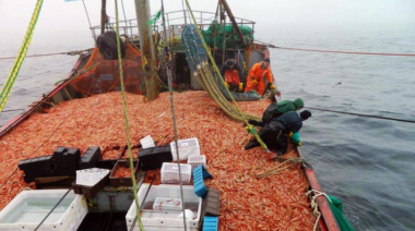 Capitanes de pesca reclaman participar de las ganancias por el procesamiento de langostino a bordo