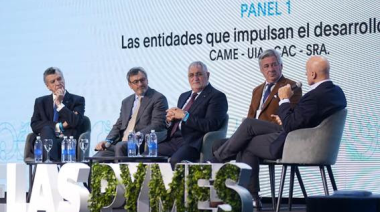 CAME reunió a dirigentes políticos y empresarios para debatir el crecimiento estratégico de las pymes