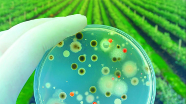El mercado de los bioinsumos proyecta un crecimiento acelerado y alcanzará niveles históricos en la región