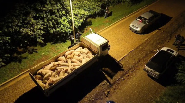 Paraguay declaró la alerta sanitaria por el contrabando de cerdos en pie desde Brasil