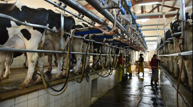 La mejora de precios y costos más bajos impulsan el negocio de los tambos