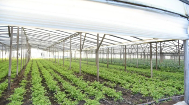 Productores de La Plata alertan por una severa crisis por costos dolarizados y caída del consumo