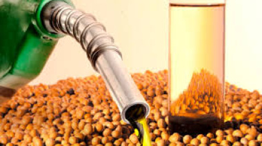 El Gobierno fijó el nuevo precio del biodiésel para la mezcla obligatoria con gasoil