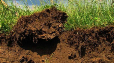 El INTA difundió pautas clave para frenar la erosión hídrica en las zonas semiáridas