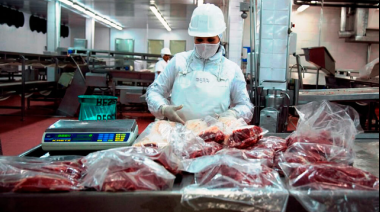 El Gobierno oficializó la distribución de la Cuota Hilton para el ciclo comercial 2026/2027