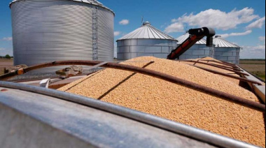 Estiman un menor ingreso de divisas para el sector agropecuario por la caída de precios internacionales