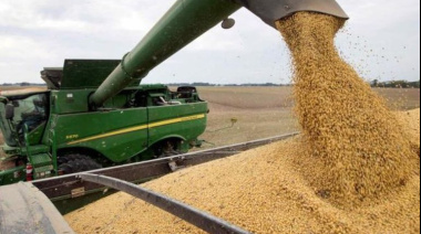 Acsoja advierte que las retenciones frenan la capacidad productiva de la oleaginosa argentina