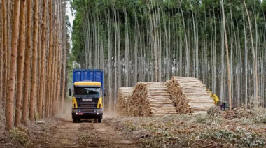 La cadena agropecuaria coincide en la necesidad de tratar una nueva Ley de Semillas