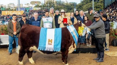 Expo Rural 2026: coronaron a los campeones de razas británicas y analizaron el sector ovino