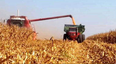 La cosecha de maíz alcanzó el 66,8 por ciento pero registra demoras por alta humedad