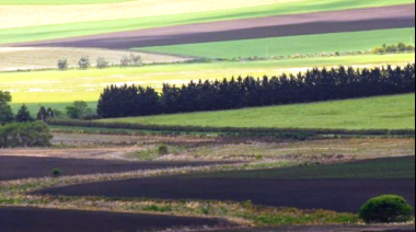 Federación Agraria advierte que la reforma de la Ley de Tierras perjudica a pequeños productores