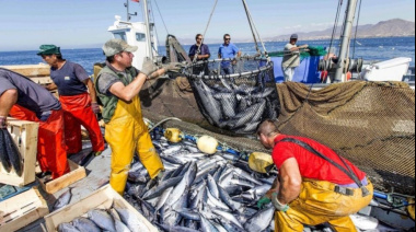 La pesca marítima registró un aumento del 16% en los desembarques durante 2026