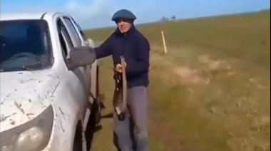 Tensión en Azul: un productor mató a tiros al perro de un galguero que entró a cazar a su campo