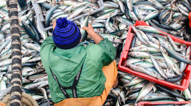 El Gobierno Nacional superó los $5.381 millones cobrados en sanciones contra la pesca ilegal