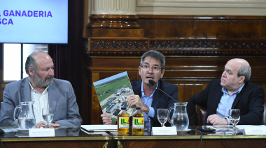 Pymes y exportadoras se enfrentan por el cupo de biodiésel y traban la nueva ley en el Congreso