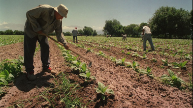 Crece el contrapunto entre UATRE y CAME por los planes sociales en las cosechas regionales