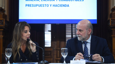 Se pospone en el Senado la discusión sobre la nueva Ley de Biocombustibles