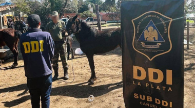 Crece el delito rural en la provincia de Buenos Aires: alertan por el robo de caballos