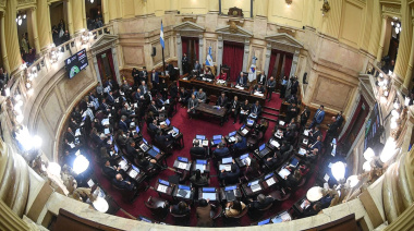 Tras la media sanción en el Senado, la Ley de Biocombustibles pasa a definir su suerte en Diputados