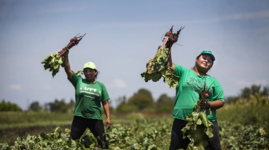 Crisis económica en La Plata: 9 de cada 10 productores hortícolas están endeudados