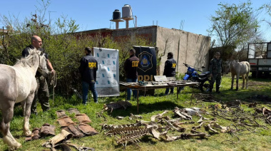 Desmantelaron una banda que robaba caballos de polo en Pilar y los faenaba en Moreno