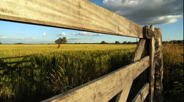 Fallo judicial frena cambios y ordena resguardar registros de tierras en la Provincia