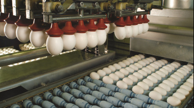 Récord en exportaciones de ovoproductos: superaron los 20 millones de dólares en ocho meses