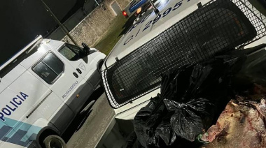 Secuestran 600 kilos de carne en allanamientos contra la faena clandestina