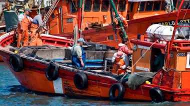La pesca de Mar del Plata enfrenta una crisis de costos y reclama medidas urgentes