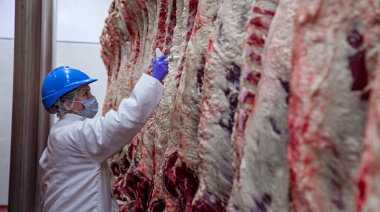 El frigorífico Gorina aplicará descuentos a la hacienda que no esté registrada en VISEC para exportar a Europa