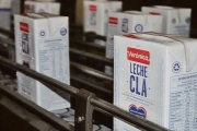 Lácteos Verónica en crisis: acumula deudas millonarias y está virtualmente paralizada