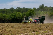Productores del norte piden eliminar retenciones para evitar el colapso productivo