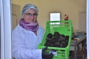 El sudoeste bonaerense pone su mira en el “diamante negro”