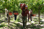 Trabajadores rurales: la mesa de enlace ofrece salarios de miseria
