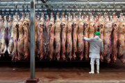 Baja de retenciones a la carne: una señal positiva con impacto ‘limitado’