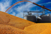 Oficializan la baja de retenciones a las exportaciones de soja, carne, maíz, sorgo y girasol