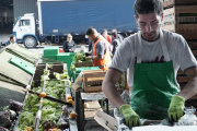 El Gobierno disolvió la Comisión Nacional de Alimentos