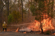 Día Internacional de la Prevención de Incendios Forestales