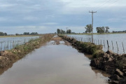 Inundaciones: las lluvias complican a miles de hectáreas de campos bonaerenses