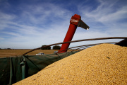 Las exportaciones agroindustriales en crecimiento: crecieron un 6% en volumen