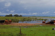 Un proyecto de ley busca reformar el régimen de emergencia agropecuaria