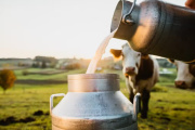 El precio de la leche cruda tuvo en agosto su punto más bajo en 7 años