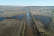 Nación declaró a 10 municipios bonaerenses en emergencia agropecuaria