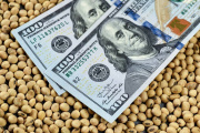 De 7.000 a 700: el Gobierno se queda sin dólares del agro