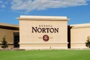 Bodega Norton abrió el concurso preventivo